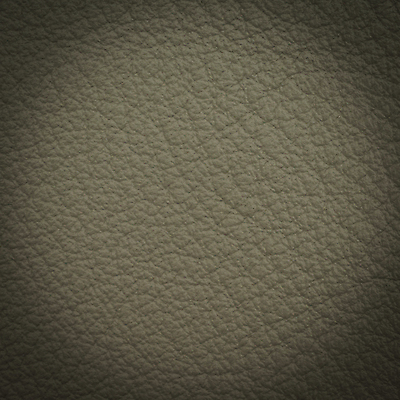 포토 JPG 해외이미지 동물 옷 백그라운드 패턴 벽지 표면 미술 사람없음 장식 유행 수확 골동품 거친 고급 가죽 천 피부 묘사 질감 복고 날것 정사각형 내추럴 그런지 옛날 인공 해외포토 도형 컨셉 무늬 농업 문화예술 신체부위 직물 파일형식 이미지허브