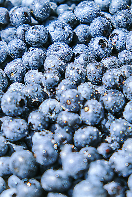 포토 JPG 해외이미지 실내 사람없음 파란색 물방울 신선 달콤 소프트포커스 가득함 블루베리 해외포토 컬러 과일 촬영기법 내부 맛 파일형식 이미지허브