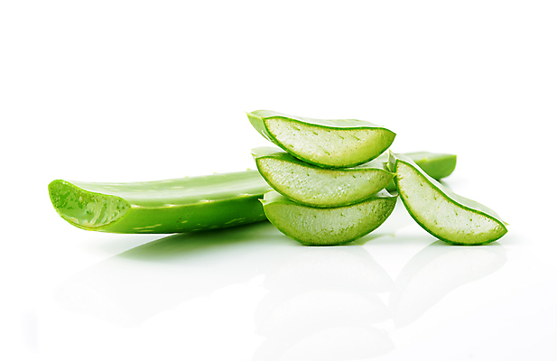 포토 JPG 해외이미지 식물 조각 백그라운드 잎 재료 부분 자연 선인장 건강 사람없음 치료 초록색 뷰티 약 쌓기 스파 화장품 활발 젖음 촉촉함 성장 흰색 신선 가시 약국 허브 순수 날것 슬라이스 흙더미 고립 돌봄 수분크림 알로에 개조 해외포토 컬러 컨셉 의학 모션 흙 생태계 파일형식 더미 이미지허브