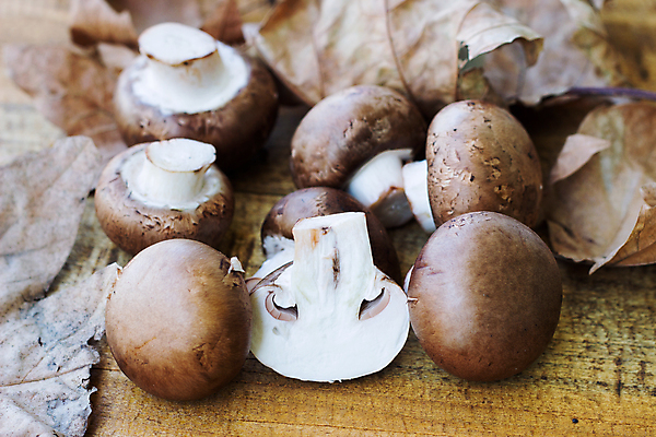 포토 JPG 해외이미지 식물 음식 백그라운드 채소 재료 건강 사람없음 갈색 식사 버섯 흰색 신선 시장 달콤 맛 수프 자르기 먹기 고립 곰팡이 매각 식용 많음 해외포토 컬러 컨셉 모션 파일형식 이미지허브