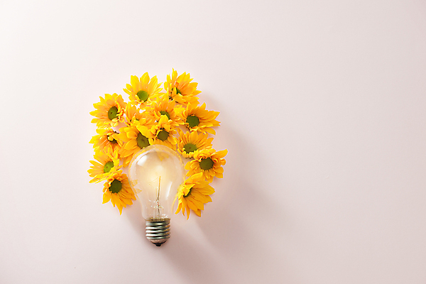 포토 JPG 해외이미지 꽃 전구 추상 아이디어 실내 사람없음 하이앵글 오브젝트 흰배경 해외포토 식물 뷰포인트 백그라운드 컨셉 무늬 내부 흰색 파일형식 이미지허브