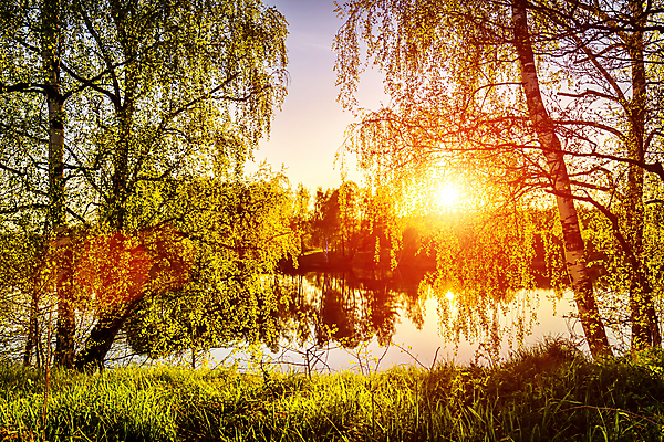 포토 JPG 해외이미지 나무 자연 하늘 사람없음 야외 강 햇빛 태양 일몰 해외포토 자연요소 식물 노을 생태계 파일형식 이미지허브