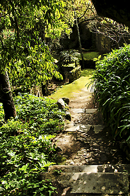 포토 JPG 해외이미지 주간 길 사람없음 야외 계단 시골 그늘 리스본 해외포토 자연요소 파일형식 이미지허브