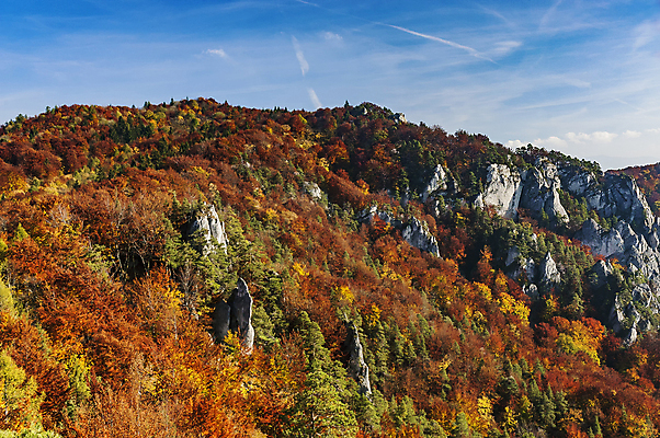 포토 JPG 해외이미지 주간 구름 단풍 자연 하늘 단풍나무 바위산 풍경 사람없음 야외 가을풍경 가을 슬로바키아 산맥 해외포토 자연요소 나무 계절 유럽 잎 산 돌산 생태계 파일형식 가을_계절 이미지허브