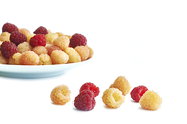 포토 JPG 해외이미지 식물 접시 계절 열매 음식 다이어트 과일 재료 자연 건강 사람없음 빨간색 여름 농작물 컬러풀 식사 사막 수확 신선 그룹 달콤 맛 자르기 수집 먹기 오브젝트 유기농 레이아웃 날것 산딸기 비타민 내추럴 고립 숙성 채식주의자 많음 맛있는 해외포토 식기 웰빙 컬러 컨셉 농업 모션 생태계 채식 영양소 파일형식 이미지허브