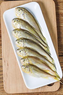 포토 JPG 해외이미지 동물 음식 바다 백그라운드 다이어트 자연 생물 건강 종류 육류 어류 요리 사람없음 물 노란색 수영 식사 흰색 신선 잡기 먹기 해산물 눈금 꼬리 날것 지느러미 단백질 매각 생식 맛있는 해외포토 자연요소 컬러 식재료 모션 수중동물 수상스포츠 생태계 영양소 파일형식 이미지허브