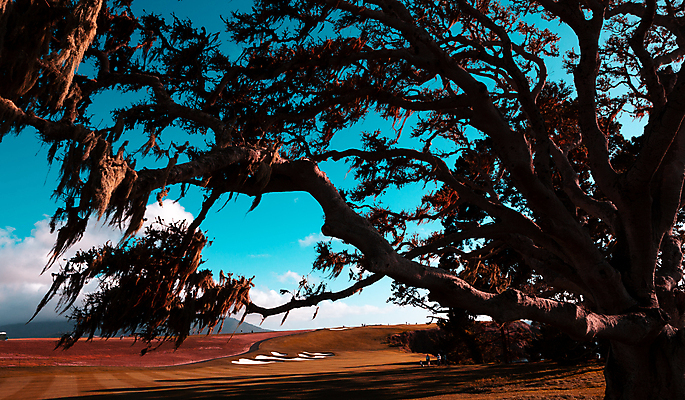 포토 JPG 해외이미지 골프 골프장 사람없음 초록색 미국 캘리포니아 페어웨이 해외포토 컬러 북아메리카 스포츠시설 구기 파일형식 이미지허브