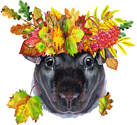 JPG 해외이미지 일러스트 나뭇잎 미술 사람없음 화관 기니피그 해외일러스트 꽃 잎 포유류 문화예술 파일형식 이미지허브