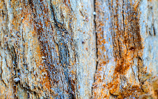 포토 JPG 해외이미지 백그라운드 자연 표면 사람없음 빛 갈색 노란색 쌓기 환경 회색 바위 닫기 언덕 질감 깨짐 땅바닥 묘목 지질학 해외포토 나무 교육 컬러 컨셉 모션 바닥 돌_바위 생태계 파일형식 이미지허브