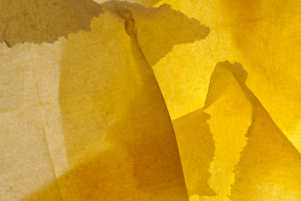 포토 JPG 해외이미지 종이 백그라운드 패턴 오렌지 추상 사람없음 흰색 조직 가장자리 찢어짐 해외포토 컬러 무늬 과일 모션 둘레 파일형식 이미지허브