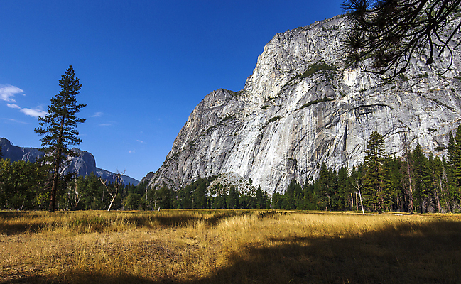 포토 JPG 해외이미지 공원 자연 산 사람없음 캘리포니아 요세미티국립공원 해외포토 공공시설 국립공원 미국 생태계 파일형식 이미지허브