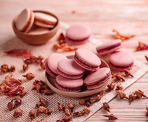 포토 JPG 해외이미지 접시 디저트 실내 사람없음 달콤 담기 마카롱 드라이플라워 나무배경 해외포토 식기 꽃 음식 백그라운드 모션 내부 맛 파일형식 이미지허브