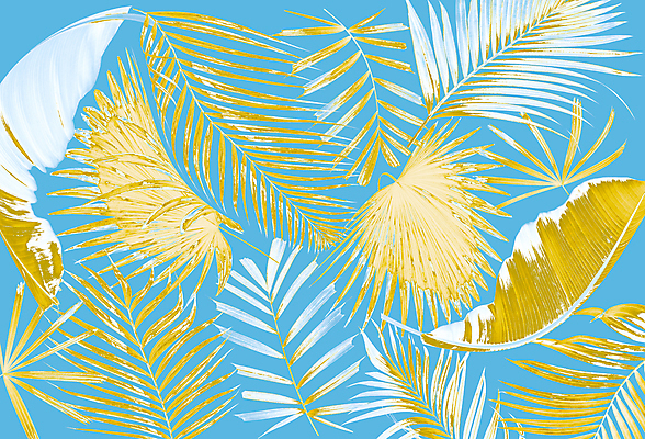 포토 JPG 해외이미지 나무 식물 디자인 선 백그라운드 잎 패턴 곡선 일러스트 부분 자연 추상 숙이기 손바닥 사람없음 초록색 여름 숫자 검은색 스파 성장 흰색 나뭇가지 주름 가장자리 숲 심볼 아치 코코넛 정맥 국경 해외일러스트 문자 손 계절 컬러 포즈 무늬 과일 둘레 생태계 혈관 파일형식 이미지허브