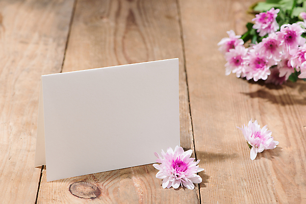 포토 JPG 해외이미지 꽃 실내 사람없음 오브젝트 목업 나무배경 해외포토 식물 백그라운드 내부 파일형식 이미지허브