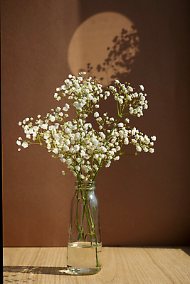 포토 JPG 해외이미지 유리병 실내 사람없음 꽃병 오브젝트 드라이플라워 나무탁자 갈색배경 해외포토 꽃 백그라운드 탁자 병_용기 내부 갈색 파일형식 이미지허브