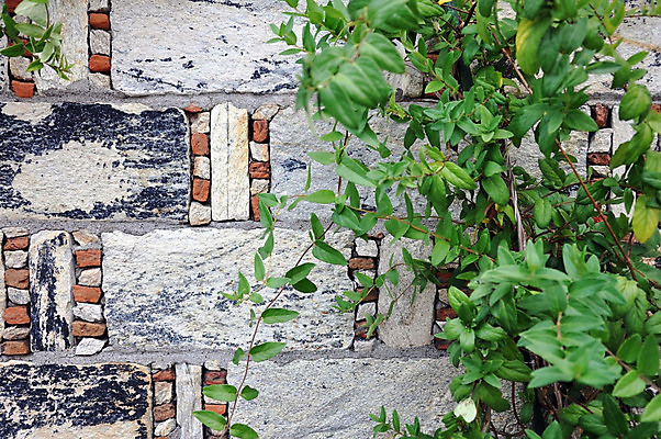 포토 JPG 해외이미지 식물 디자인 벽 백그라운드 패턴 건축양식 벽지 날씨 벽돌 사람없음 초록색 갈색 블록 수확 껍질 바위 도시 타일 질감 복고 시멘트 그런지 옛날 콘크리트 해외포토 건축 컬러 무늬 농업 돌_바위 파일형식 이미지허브
