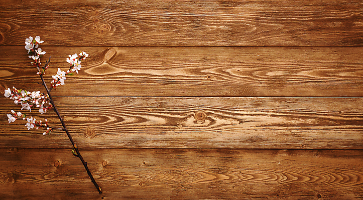 포토 JPG 해외이미지 꽃 벽 백그라운드 패턴 자연 벽지 표면 바닥 사람없음 목재 봄 수확 시골 소나무 거친 유기농 질감 자원 내추럴 평행 그런지 수목 나무배경 해외포토 나무 식물 웰빙 계절 무늬 농업 재료 생태계 파일형식 이미지허브