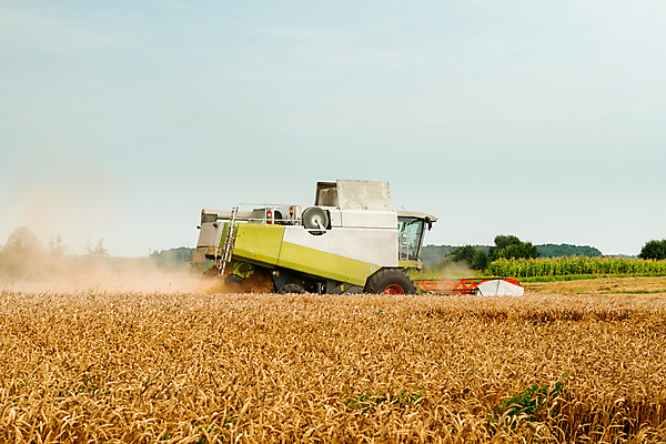 포토 JPG 해외이미지 계절 산업 밭 농업 자연 건조 옥수수 씨앗 사람없음 농작물 농경지 노란색 기계 모임 수확 시골 못 황금 농부 결합 낟알 땅 자르기 시리얼 밀 수집 유기농 보리 먼지 짐차 밀짚 밭일 숙성 호밀 해외포토 식물 직업 웰빙 음식 컬러 모션 자동차 곡류 농장 공구 짚 생태계 파일형식 이미지허브