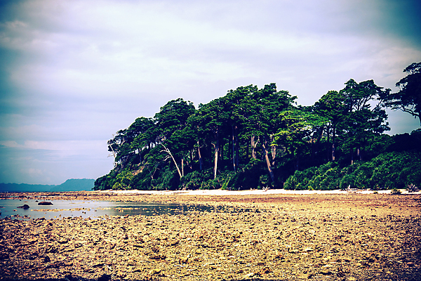 포토 JPG 해외이미지 나무 전통 아시아 모래 바다 섬 여행 백그라운드 요트 자연 휴가 휴식 열대 산 손바닥 풍경 사람없음 야외 물 여름 파란색 평화 맑음 고요 전원 고독 암초 코코넛 해먹 석호 안다만 터키석 파라다이스 해외포토 자연요소 식물 손 계절 감정 나라 컬러 컨셉 배_교통 과일 날씨 침대 전기에너지 보석 생태계 파일형식 이미지허브