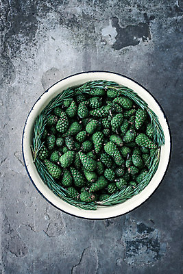 포토 JPG 해외이미지 나무 식물 전통 패턴 자연 추상 건강 요리 사람없음 장식 초록색 약 축제 나뭇가지 신선 소나무 닫기 숲 오브젝트 준비 에코 유기농 생태계 시럽 상록수 침엽수 전나무 원뿔 내추럴 기침 방법 핸드메이드 가문비나무 디테일 해외포토 도형 웰빙 컬러 무늬 의학 모션 환경 파일형식 이미지허브