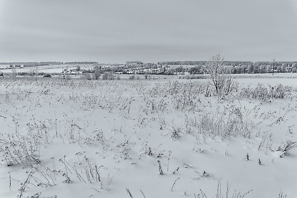 포토 JPG 해외이미지 나무 식물 구름 계절 공원 여행 백그라운드 겨울 밭 자연 하늘 지붕 날씨 산 주택 흑백 풍경 초원 사람없음 야외 목재 빛 울타리 뷰티 마을 환경 냉동 검은색 추위 흰색 시골 기둥 숲 오두막 언덕 서리 장면 교외 제설기 수평선 해외포토 자연요소 공공시설 건축 컬러 농업 재료 촬영기법 건물 담장 생태계 제설 파일형식 이미지허브
