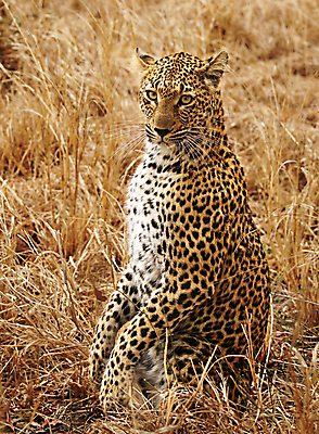 포토 JPG 해외이미지 여행 사람없음 여행객 해외포토 사람 파일형식 이미지허브