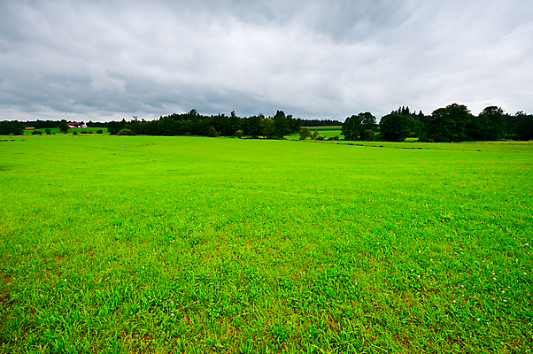 포토 JPG 해외이미지 나무 식물 구름 계절 유럽 지구 잎 밭 농업 자연 하늘 주택 독일 그림자 씨앗 풍경 잔디 초원 사람없음 야외 초록색 여름 농장 농경지 계곡 흙 수확 성장 시골 신선 숲 그늘 땅 뿌리기 언덕 유기농 알프스 먼지 내추럴 땅바닥 밭일 바이에른 세련 해외포토 자연요소 웰빙 나라 산업 컬러 모션 바닥 건물 생태계 파일형식 이미지허브