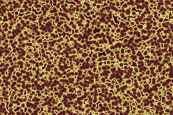 포토 JPG 해외이미지 식물 디자인 과학 일러스트 생물 세포 건강 현미경 사람 사람없음 약 열 바이러스 벌레 질병 위험 수집 생물학 윤곽 감염 미생물 암 박테리아 나쁜 면역력 에이즈 위생관리 전염병 해외일러스트 교육 곤충 컨셉 의학 실험기구 관리 파일형식 이미지허브