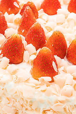 포토 JPG 해외이미지 열매 음식 조각 백그라운드 잎 과일 딸기 디저트 치즈 사람없음 장식 빨간색 초록색 케이크 얼음 흰색 신선 원형 달콤 크림 고립 해외포토 자연요소 도형 식물 컬러 유제품 맛 파일형식 이미지허브