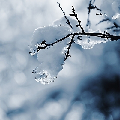 포토 JPG 해외이미지 주간 겨울 풍경 근접촬영 사람없음 야외 아웃포커스 나뭇가지 눈 상고대 겨울풍경 해외포토 자연요소 나무 계절 뷰포인트 날씨 촬영기법 서리 파일형식 이미지허브