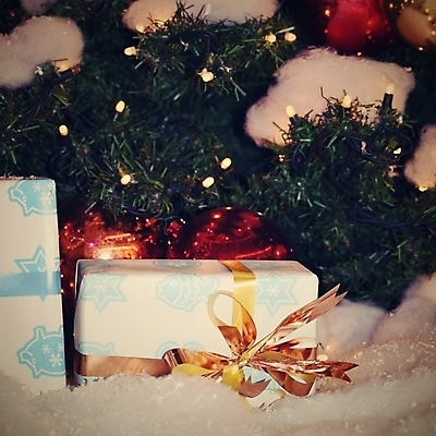 포토 JPG 해외이미지 나무 전통 디자인 계절 별 리본 백그라운드 크리스마스 겨울 공 유리 휴가 전등 새로움 주택 사람없음 목재 장식 빨간색 초록색 빛 우주 축제 장식볼 수확 흰색 나뭇가지 축하 소나무 신용카드 황금 12월 연도 전나무 고립 엘리먼트 해외포토 자연요소 식물 기념일 컬러 컨셉 농업 재료 재질 조명 건물 금융 날짜 파일형식 이미지허브