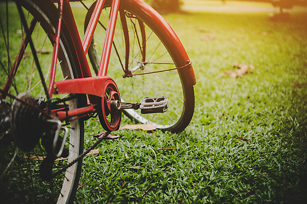 포토 JPG 해외이미지 행복 백그라운드 컨셉 밭 자연 거리 사람없음 초록색 자전거 수확 도시 바퀴 바이킹 옛날 해외포토 감정 컬러 농업 바이크 생태계 파일형식 이미지허브