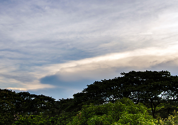 포토 JPG 해외이미지 나무 식물 계절 백그라운드 잎 자연 하늘 사람없음 야외 초록색 여름 파란색 햇빛 태양 노란색 우주 나뭇가지 신선 숲 아래 장면 카피스페이스 해외포토 자연요소 컬러 공백 방향 생태계 위치 파일형식 이미지허브