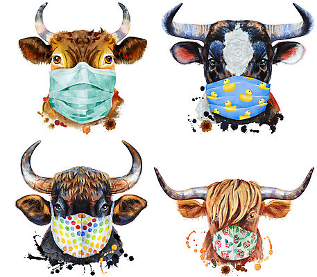 포토 JPG 해외이미지 무늬 일러스트 수채화 마스크 사람없음 세트 소 황소 감염예방 해외일러스트 포유류 사회이슈 예방 감염 파일형식 이미지허브