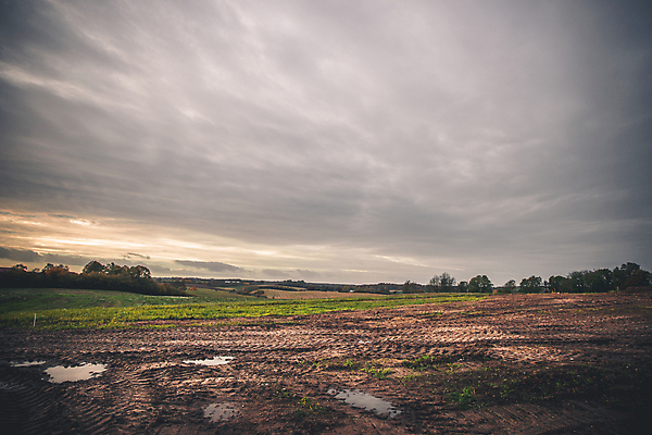 포토 JPG 해외이미지 나무 계절 도로 길 여행 백그라운드 밭 자국 자연 하늘 사람없음 야외 초록색 물 파란색 갈색 어둠 흙 운전 젖음 시골 바퀴 거친 땅 타이어 웅덩이 먼지 장면 점토 진흙 내추럴 땅바닥 방법 선로 어려움 오프로드 자취 수평선 해외포토 자연요소 식물 컬러 농업 교통시설 모션 바닥 생태계 파일형식 이미지허브
