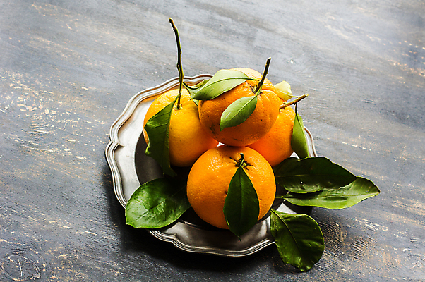 포토 JPG 해외이미지 접시 귤 실내 사람없음 여러개 나무배경 해외포토 식기 다수 백그라운드 과일 내부 파일형식 이미지허브