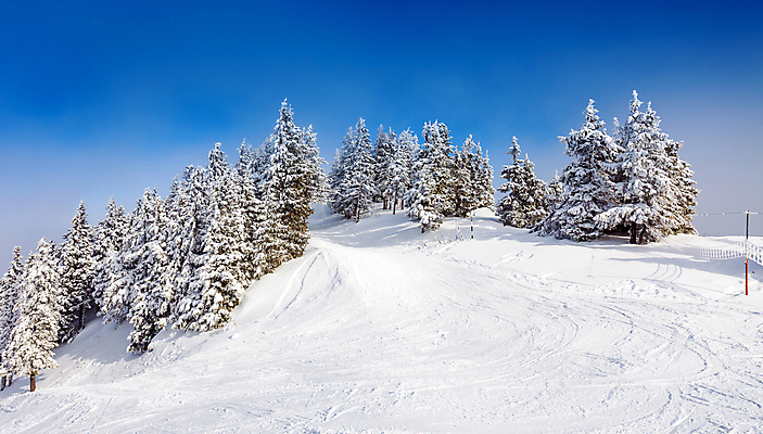 포토 JPG 해외이미지 나무 배너 계절 스포츠 백그라운드 겨울 자연 날씨 휴가 산 풍경 경사 사람없음 야외 목재 태양 우주 냉동 얼음 추위 흰색 소나무 숲 접속 휴양지 서리 리프트 장면 봉 내추럴 눈내림 해외포토 자연요소 식물 컬러 재료 눈_날씨 장소 생태계 파일형식 이미지허브
