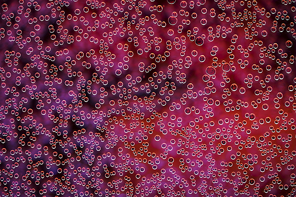 포토 JPG 해외이미지 음료 백그라운드 추상 따뜻함 사람없음 빨간색 물 파란색 사진촬영 거품 신선 원형 투명 액체 그룹 샴페인 자르기 순수 소다 해외포토 자연요소 도형 컬러 컨셉 무늬 모션 주류 촬영 파일형식 이미지허브