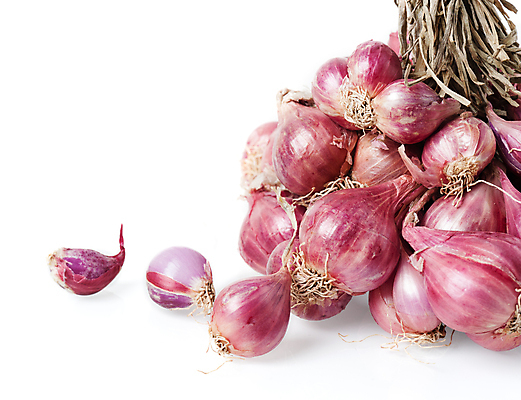 포토 JPG 해외이미지 음식 농업 채소 재료 양파 건강 요리 사람없음 샐러드 신선 그룹 허브 향신료 유기농 날것 밭일 채식주의자 해외포토 식물 웰빙 산업 채식 향미료 파일형식 이미지허브