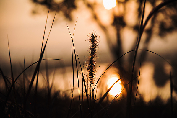 포토 JPG 해외이미지 실루엣 바다 여행 백그라운드 오렌지 자연 하늘 아침 휴가 새로움 사람없음 물 햇빛 태양 일출 일몰 낭만 분위기 황금 허브 명상 수평선 해외포토 주간 자연요소 식물 컨셉 과일 촬영기법 노을 생태계 파일형식 이미지허브