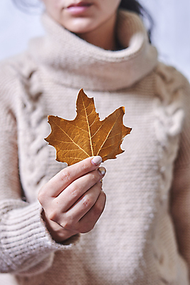 포토 JPG 해외이미지 손 옷 공원 단풍 잎 오렌지 자연 따뜻함 한명 사람없음 세로 빛 뷰티 노란색 유행 활발 잡기 스웨터 해외포토 식물 1 공공시설 컬러 컨셉 상의 과일 모션 사람 신체부위 생태계 파일형식 이미지허브