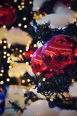 포토 JPG 해외이미지 나무 전통 디자인 계절 별 리본 백그라운드 크리스마스 겨울 전구 공 가족 휴가 새로움 주택 선물 사람없음 장식 빨간색 빛 쇼핑 산타클로스 우주 축제 저녁식사 흰색 나뭇가지 축하 소나무 황금 저녁 12월 연도 전나무 고립 클라우스 해외포토 자연요소 식물 기념일 컬러 컨셉 관계 건물 식사 날짜 야간 파일형식 이미지허브