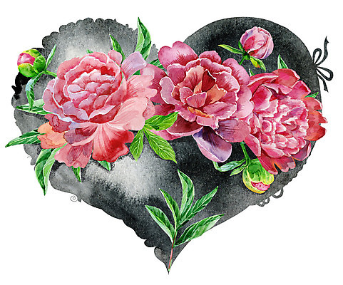 JPG 해외이미지 꽃 일러스트 사람없음 장미 하트 해외일러스트 모양 식물 파일형식 이미지허브