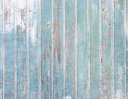 포토 JPG 해외이미지 디자인 벽 백그라운드 패턴 자연 벽지 표면 날씨 추상 사람없음 목재 파란색 빛 울타리 문 페인트 줄무늬 공백 수확 골동품 흰색 시골 판넬 거친 그리기 널 천 묘사 고민 질감 복고 목공예 내추럴 그런지 수목 옛날 터키석 해외포토 나무 감정 컬러 무늬 농업 재료 모션 담장 직물 보석 공예 생태계 파일형식 이미지허브