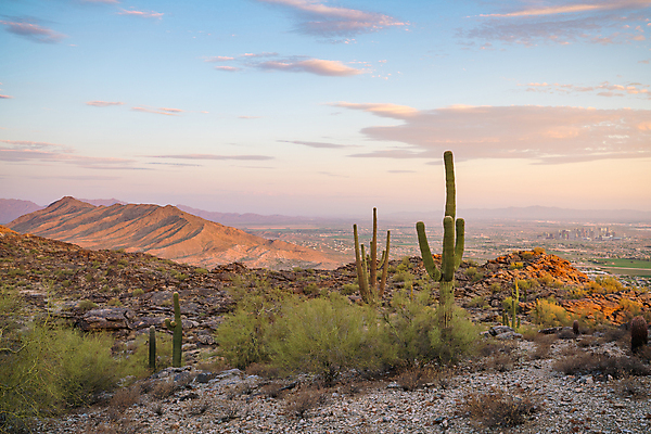 포토 JPG 해외이미지 공원 여행 건축양식 자연 산 건조 풍경 사람없음 야외 건물 가로 여름 도시풍경 컬러풀 일출 고층빌딩 미국 일몰 새벽 사막 도시 도심 전철 암초 타운 애리조나 대도시 스카이라인 남쪽 봉황 수평선 해외포토 자연요소 건축물 계절 공공시설 건축 육상교통 컬러 북아메리카 대중교통 빌딩 노을 방향 생태계 파일형식 이미지허브
