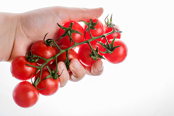 포토 JPG 해외이미지 식물 음식 줄기 잎 농업 다이어트 토마토 채소 자연 요리 사람없음 빨간색 농작물 농장 정원 샐러드 수확 성장 나뭇가지 신선 체리 맛 케첩 다발 먹기 유기농 생태계 내추럴 숙성 채식주의자 세련 맛있는 해외포토 나무 웰빙 산업 컬러 컨셉 과일 모션 건강 소스_음식 채식 파일형식 이미지허브