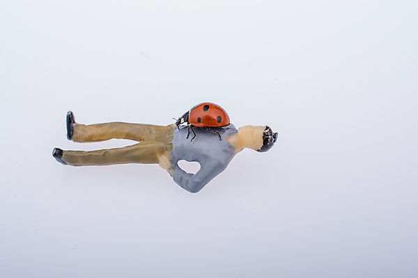 포토 JPG 해외이미지 실내 사람없음 흰배경 인물미니어처 무당벌레 해외포토 곤충 백그라운드 내부 미니어처 흰색 파일형식 이미지허브