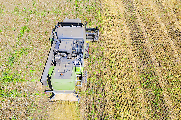 포토 JPG 해외이미지 산업 음식 빵 밭 농업 자연 안테나 풍경 사람없음 여름 농작물 태양 농장 농경지 노란색 기계 일몰 장비 수확 성장 가을 시골 업무 황금 결합 낟알 땅 자르기 시리얼 밀 보리 먼지 장면 밀짚 밭일 숙성 호밀 해외포토 자연요소 계절 컬러 통신 모션 곡류 노을 작업 짚 생태계 파일형식이미지허브 