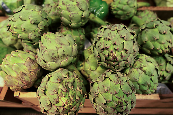 포토 JPG 해외이미지 식물 음식 백그라운드 잎 밭 농업 다이어트 채소 재료 자연 건강 요리 사람없음 초록색 뷰티 머리 정원 봄 수확 성장 벚꽃 시골 신선 시장 약초 허브 유기농 원예 엉겅퀴 건강식 내추럴 고립 바이오 숙성 식용 영원 채식주의자 해외포토 웰빙 계절 꽃 산업 컬러 취미 신체부위 풀_식물 생태계 채식 파일형식 이미지허브