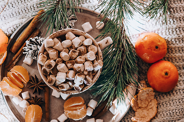 포토 JPG 해외이미지 잎 귤 쟁반 실내 따뜻함 사람없음 하이앵글 머그컵 달콤 솔방울 감성 코코아 마시멜로우 귤껍질 시나몬스틱 팔각회향 해외포토 식물 음료 뷰포인트 컨셉 과일 디저트 내부 컵 껍질 맛 향신료 시나몬 파일형식 이미지허브